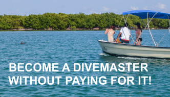Fins To Spurs, Become A Divemaster, Become a Divemaster Without Paying For It, Belize