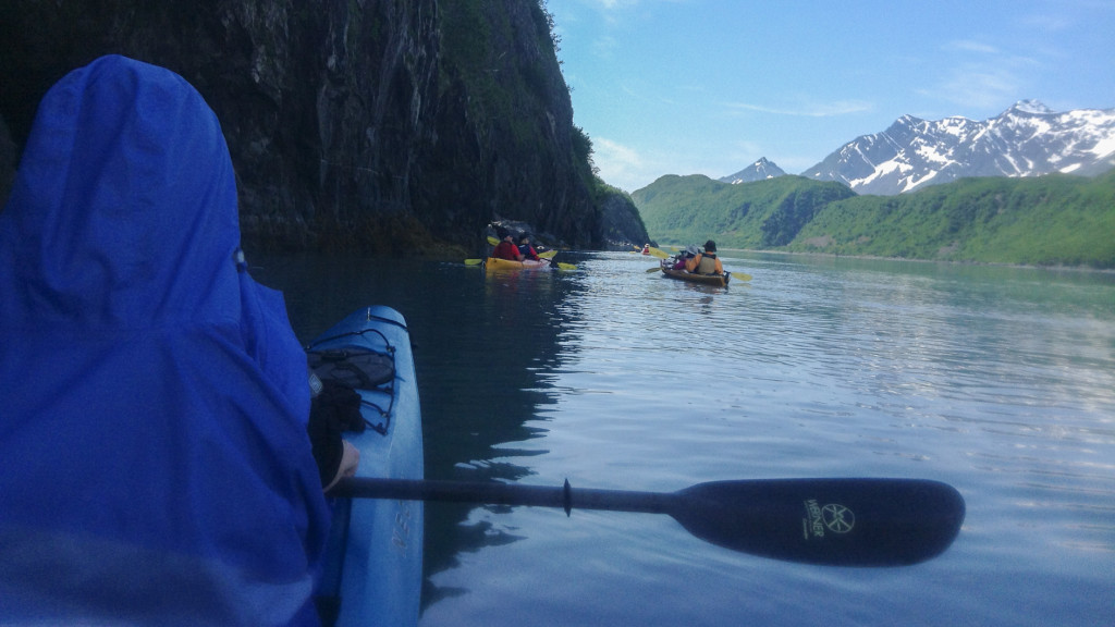 Kayak, Work in Alaska, 11 Jobs that Pay You to Travel, Fins to Spurs, Kenai Fjords